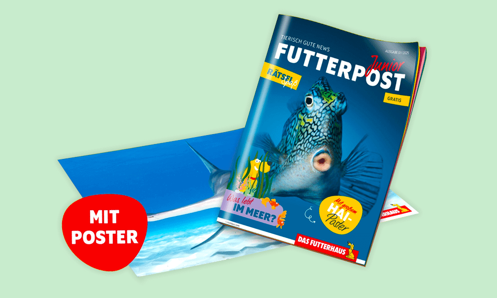 Futterpost Kinderzeitschrift kostenlos in allen Das Futterhaus Filialen